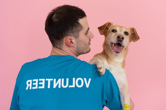 La puce électronique pour animaux est-elle fiable à 100 % ? La puce électronique pour animaux est-elle fiable à 100 % ?