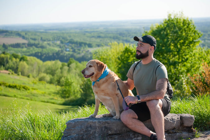 Grâce aux produits CBD, garantissez le bonheur de votre chien ! Grâce aux produits CBD, garantissez le bonheur de votre chien !