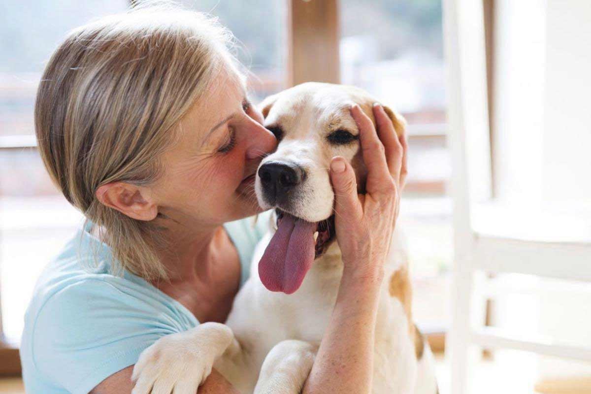 Plan d’action 2024 pour le bien-être animal