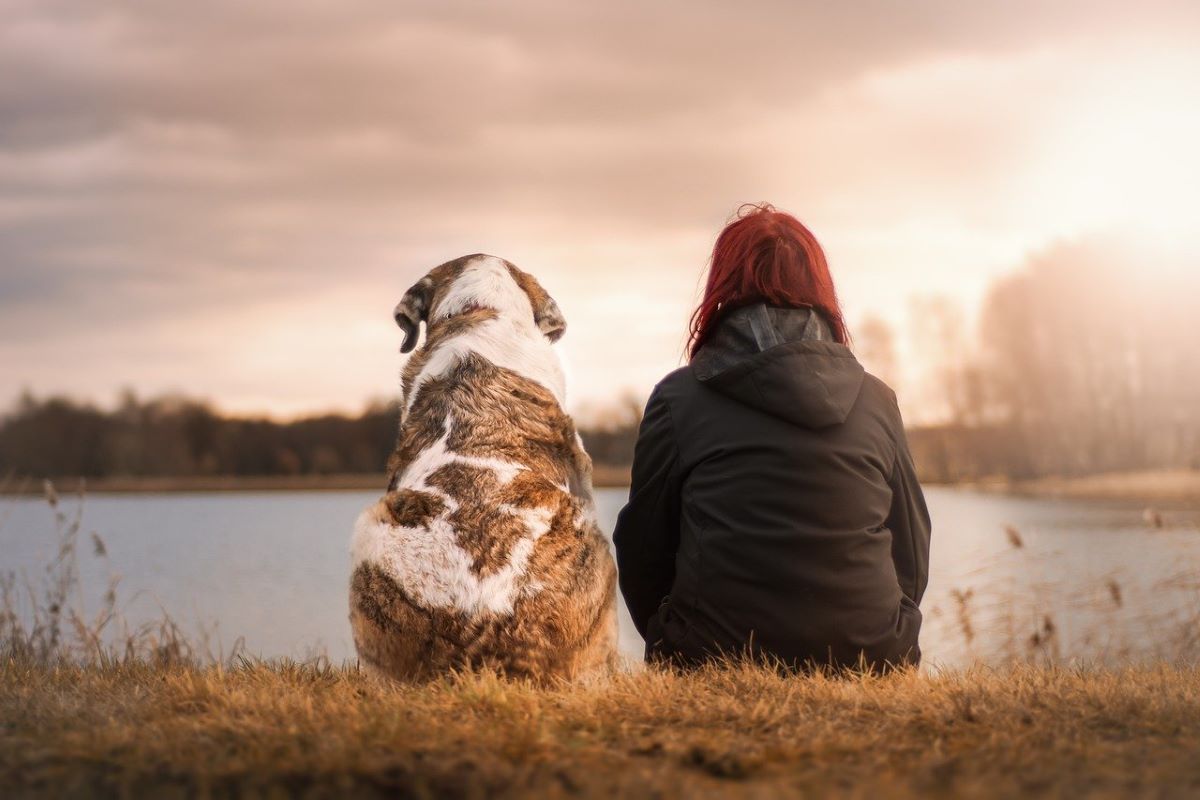 Trucs antistress pour entrer dans l’automne avec son chien