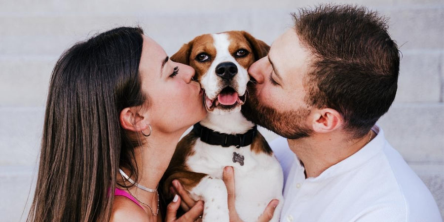 Une nouvelle loi européenne promeut l’adoption responsable