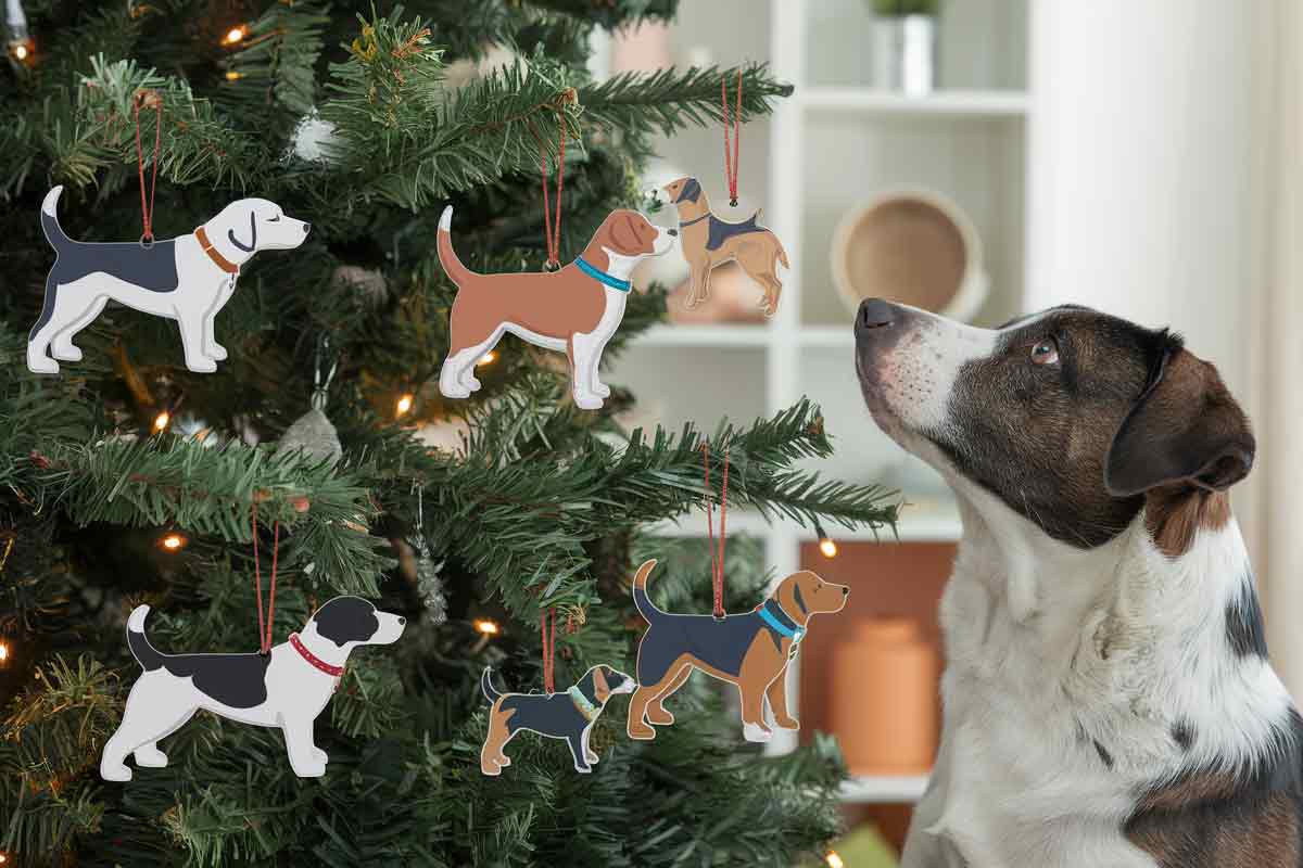 Tendances 2024 des cadeaux de Noël pour chiens