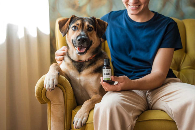 Le CBD est-il un bon complément alimentaire pour les chiens ?