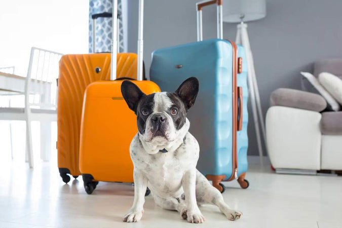 Quels sont les 10 meilleurs hôtels de luxe 