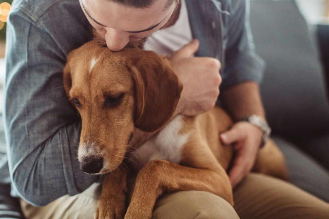 Pourquoi mon chien tremble ?