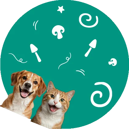 CHAMPIGNONS ADAPTOGÈNES POUR ANIMAUX