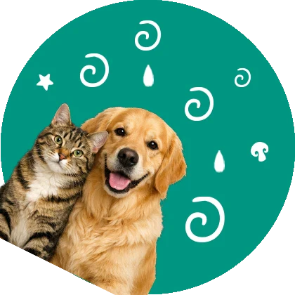 LES PRODUITS LOVAPETS