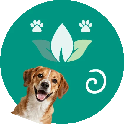 PRODUITS BIEN-ÊTRE POUR CHIEN