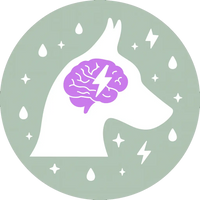 Épilepsie & accompagnement