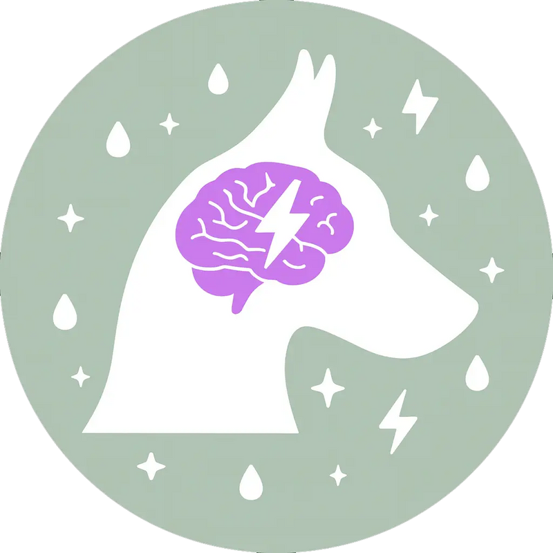 L'épilepsie chez les chiens prend son origine au niveau du cerveau