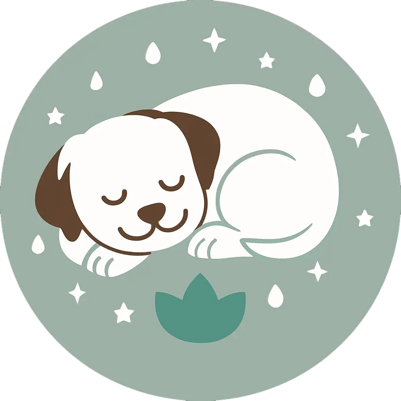 Un chien heureux qui dort