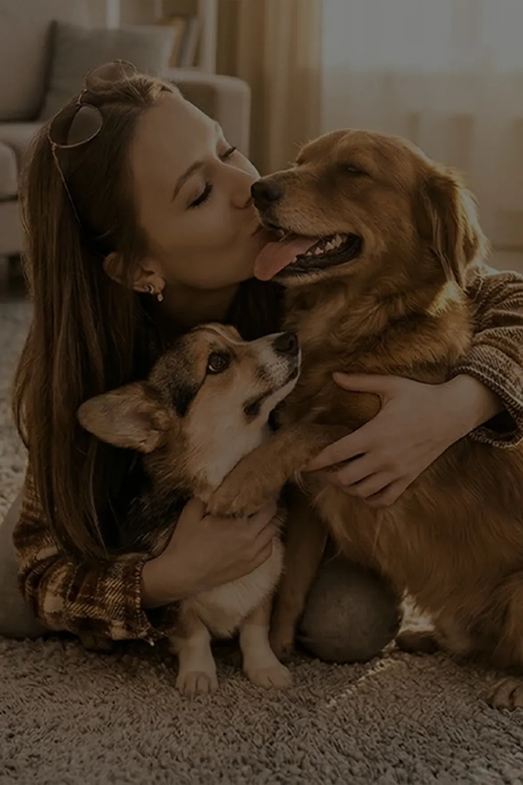 CBD et champignons adaptogènes pour le bien-être de votre chien &amp; chat