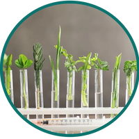 <span style="color: #009681">Expertise, sélection et sécurité animale</span>