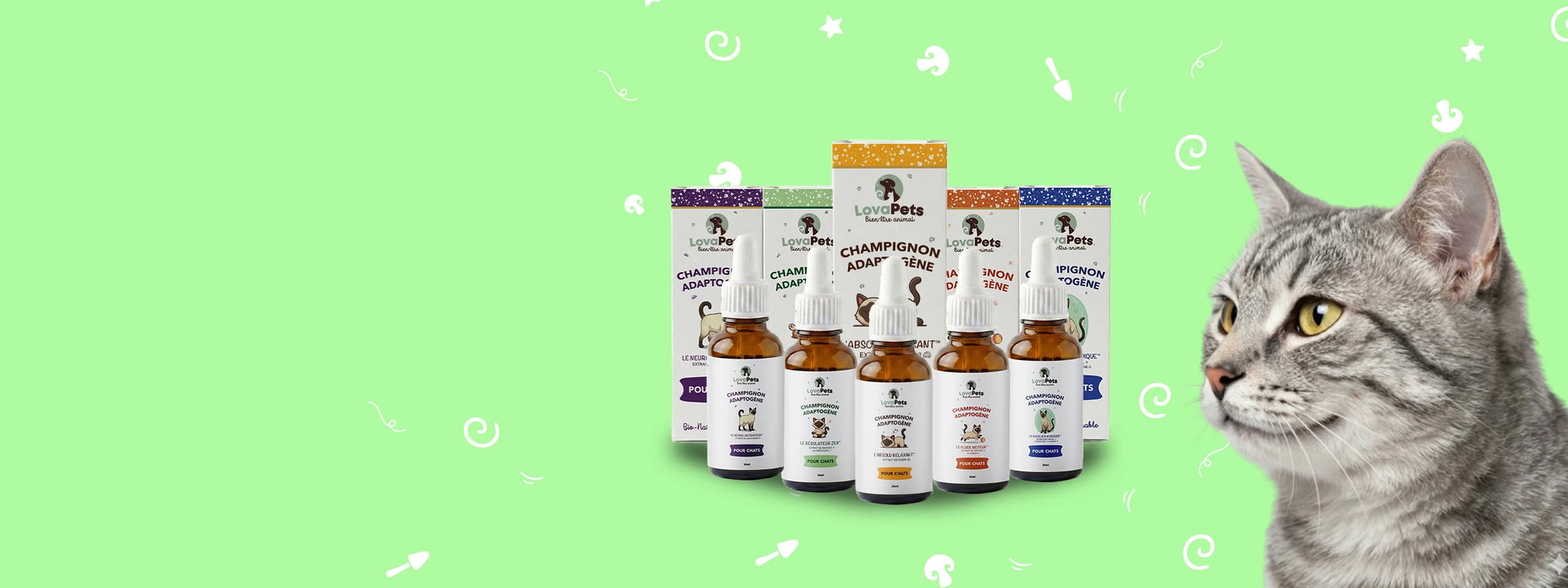 Les  bienfaits des champignons, adaptés à la sensibilité des chats