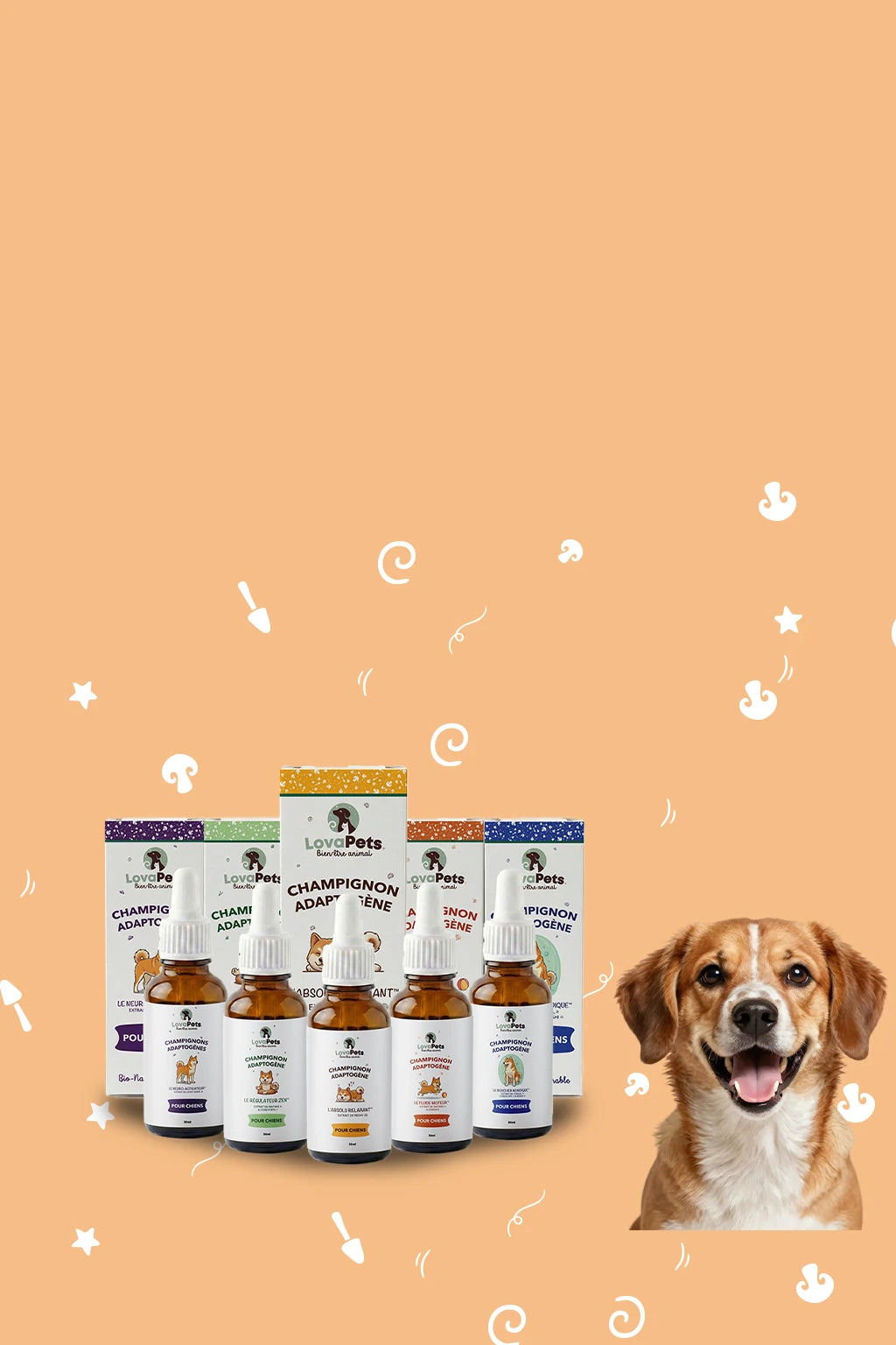 Le bien-être de votre chien ne se limite pas au CBD 
