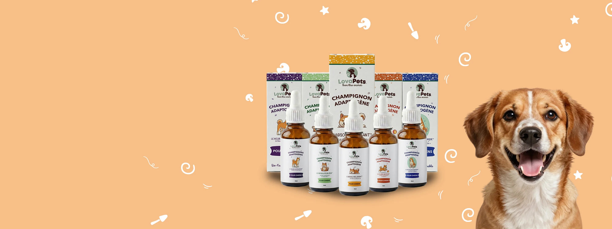 Le bien-être de votre chien ne se limite pas au CBD 
