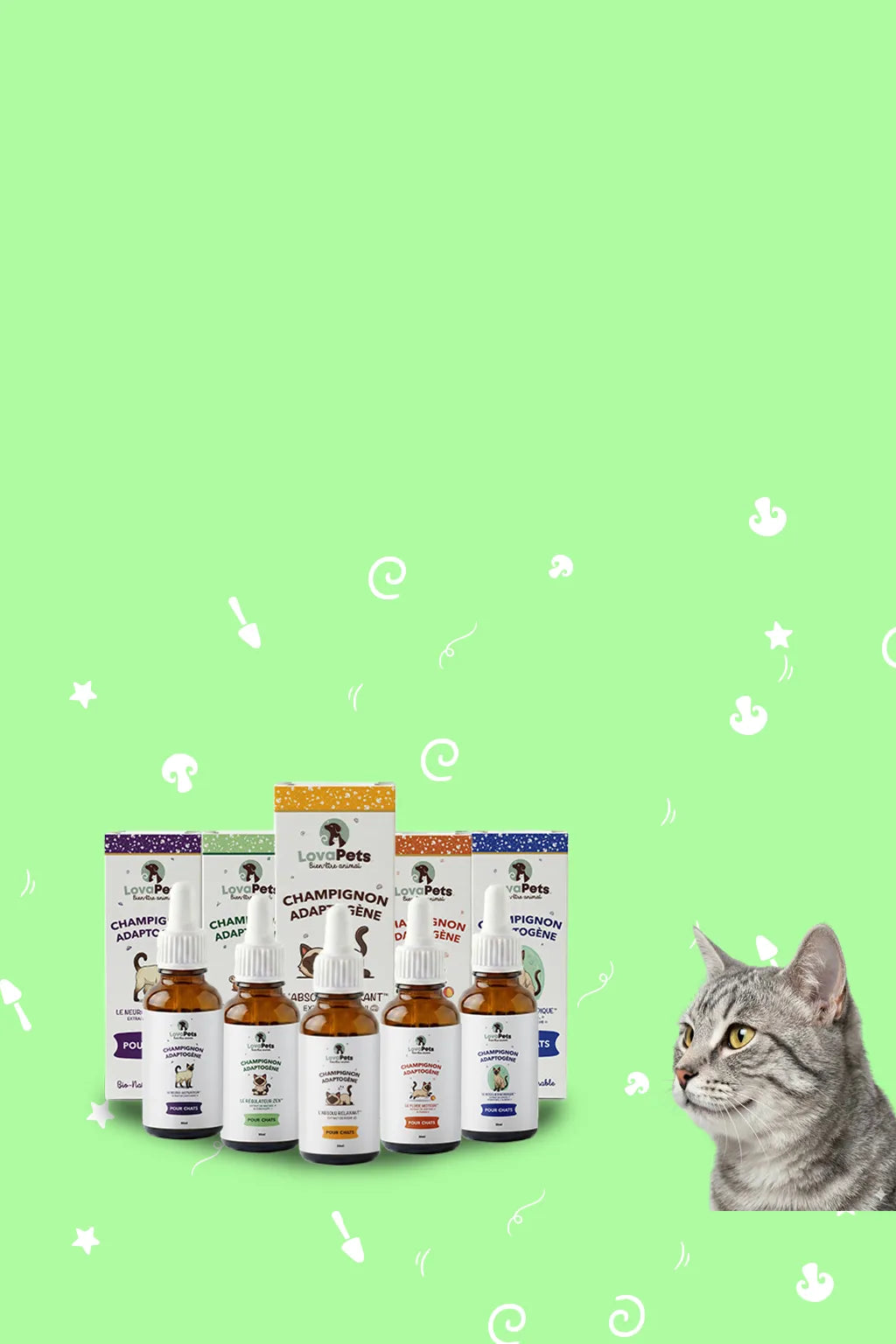 Les  bienfaits des champignons, adaptés à la sensibilité des chats