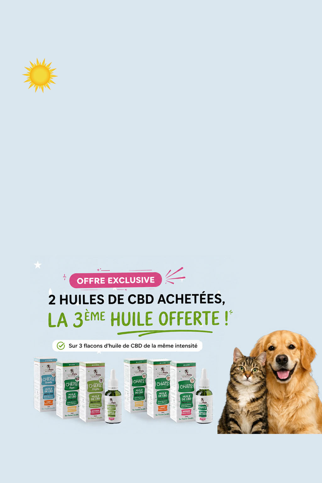   SOLDES D'ÉTÉ 2026 Économisez jusqu'à 35% sur les huiles de CBD pour animaux