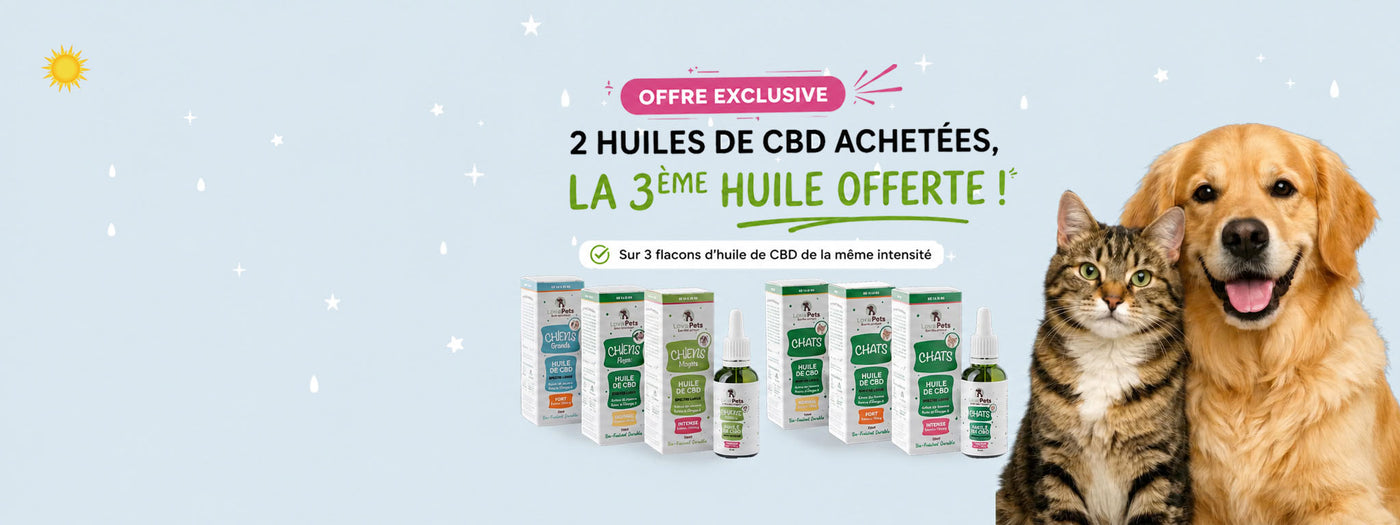   SOLDES D'ÉTÉ 2026 Économisez jusqu'à 35% sur les huiles de CBD pour animaux