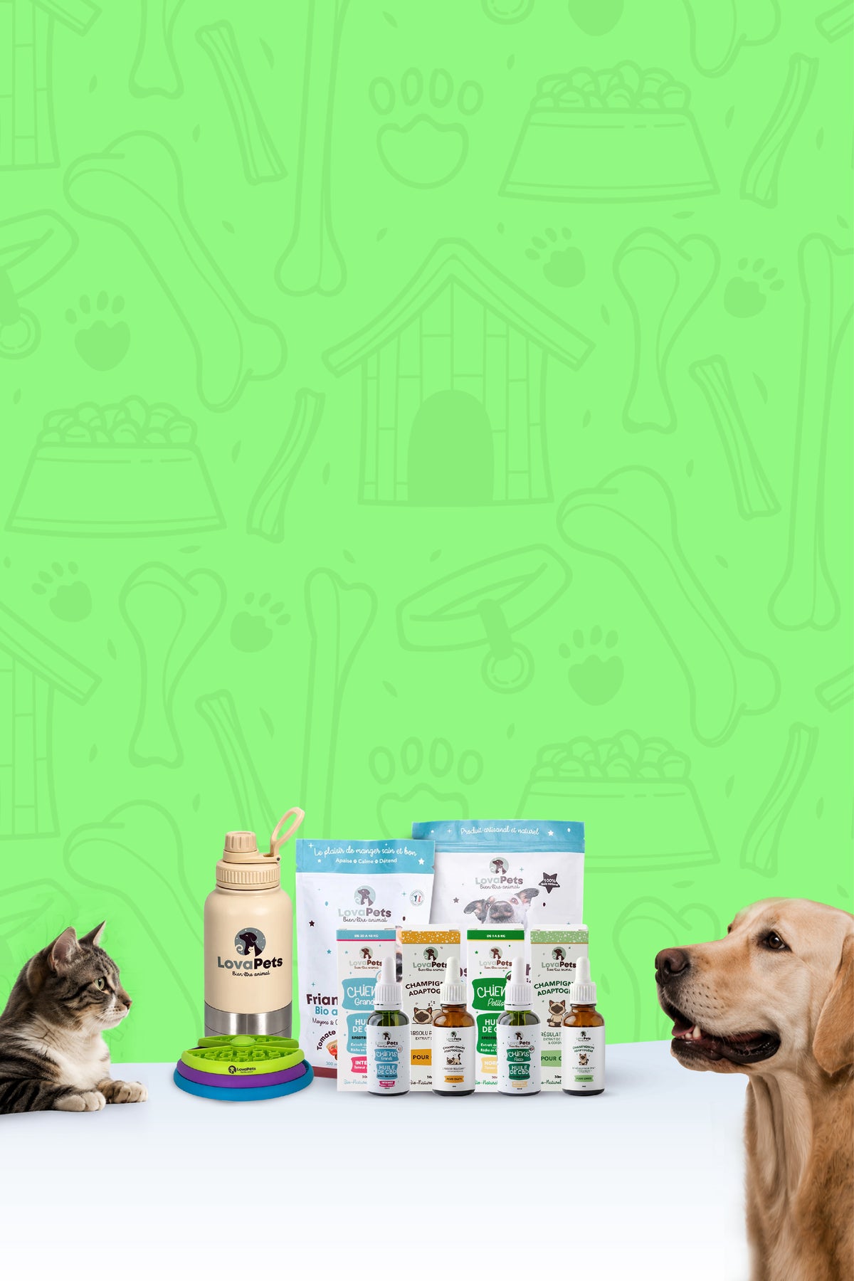 
SOLDES ÉTÉ 2026Du 24/06 au 21/07, offres exceptionnelles pour chiens et chats
