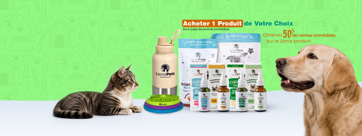 
SOLDES ÉTÉ 2026Du 24/06 au 21/07, offres exceptionnelles pour chiens et chats
