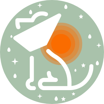 Douleur chez les animaux de compagnie