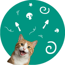 Chats